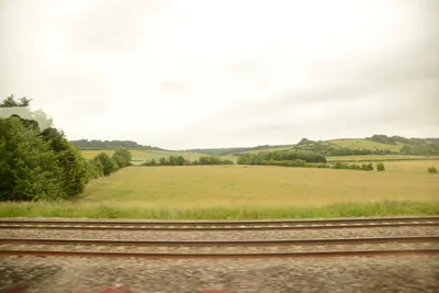 DSC_2522 (Large).JPG